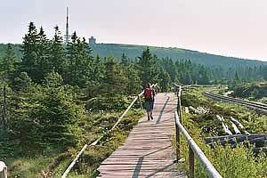 Goetheweg zum Brocken
