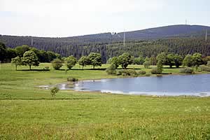 Stadtweger Teich in Zellerfeld